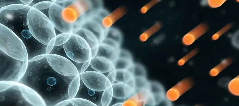 cortisol supplements